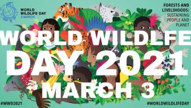 اليوم العالمي للحياة البرية في حديقة الحيوان