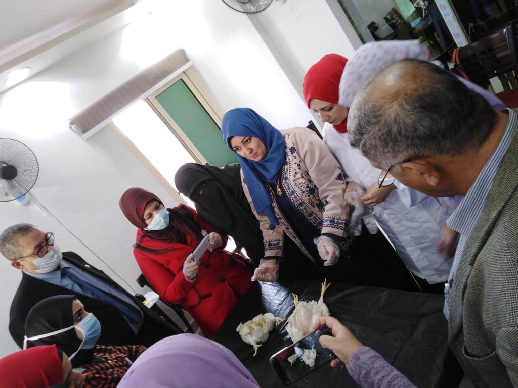 دورة تدريبية للأطباء البيطريين في بور سعيد