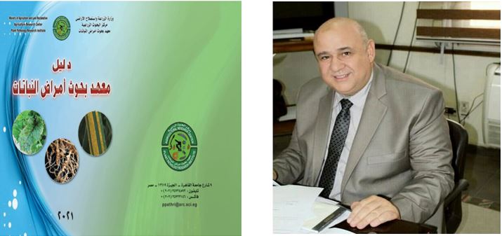 الدكتور أشرف خليل مدير معهد أمراض النباتات