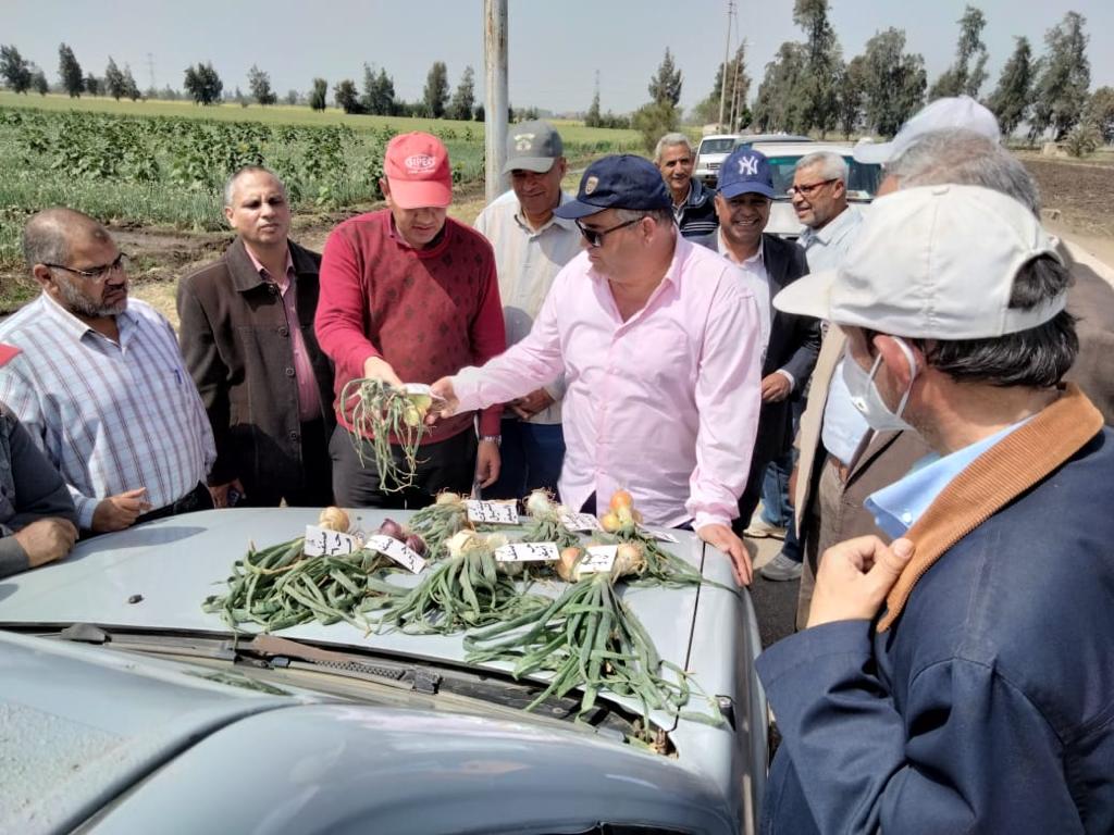مدير معهد المحاصيل يتابع حالة محصول البصل