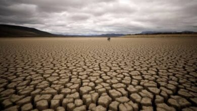 صورة تعبيرية عن الجفاف