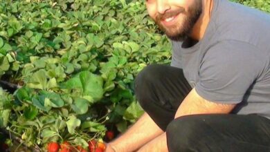مزرعة بيتنا مبادرة لزراعة أسطح المنازل في مصر
