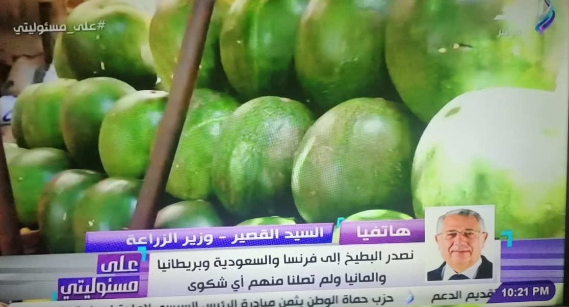 وزير الزراعة يكشف حقيقة البطيخ