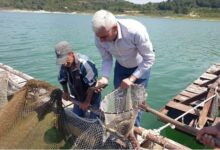 صيد الأسماك في سوريا