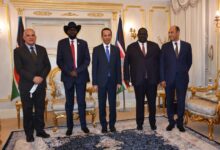 وزير الري ورئيس جنوب السودان 2