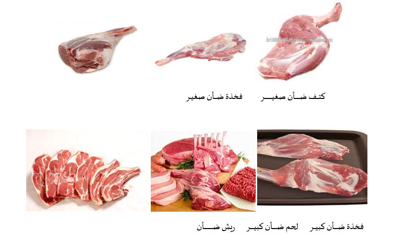قطعيات اللحوم 1