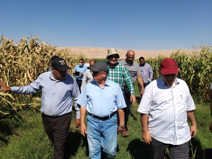مركز البحوث الزراعية يتفقد زراعات الذرة في محافظة قنا e1633520806396