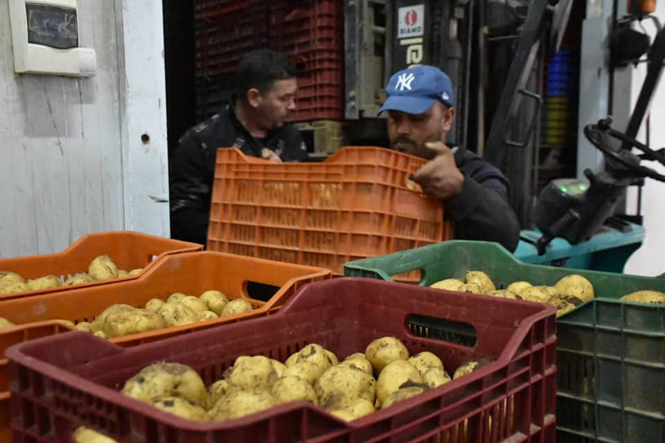 البطاطس في الجزائر