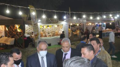 دكتور علاء عزوز خلال جولة في مهرجان عسل النحل