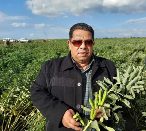 علاء عزمي رئيس قسم البقوليات في مزارع الفول البلدي e1639113537206