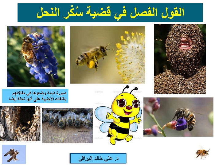 علي البراقي
