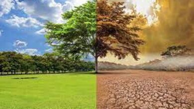 تأثير المناخ علي الزراعة