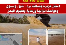 المناخ