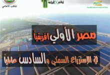 انفو الأسماك