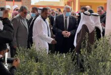 جولة وزير الزراعة في شمال سيناء وزراعة الزيتون