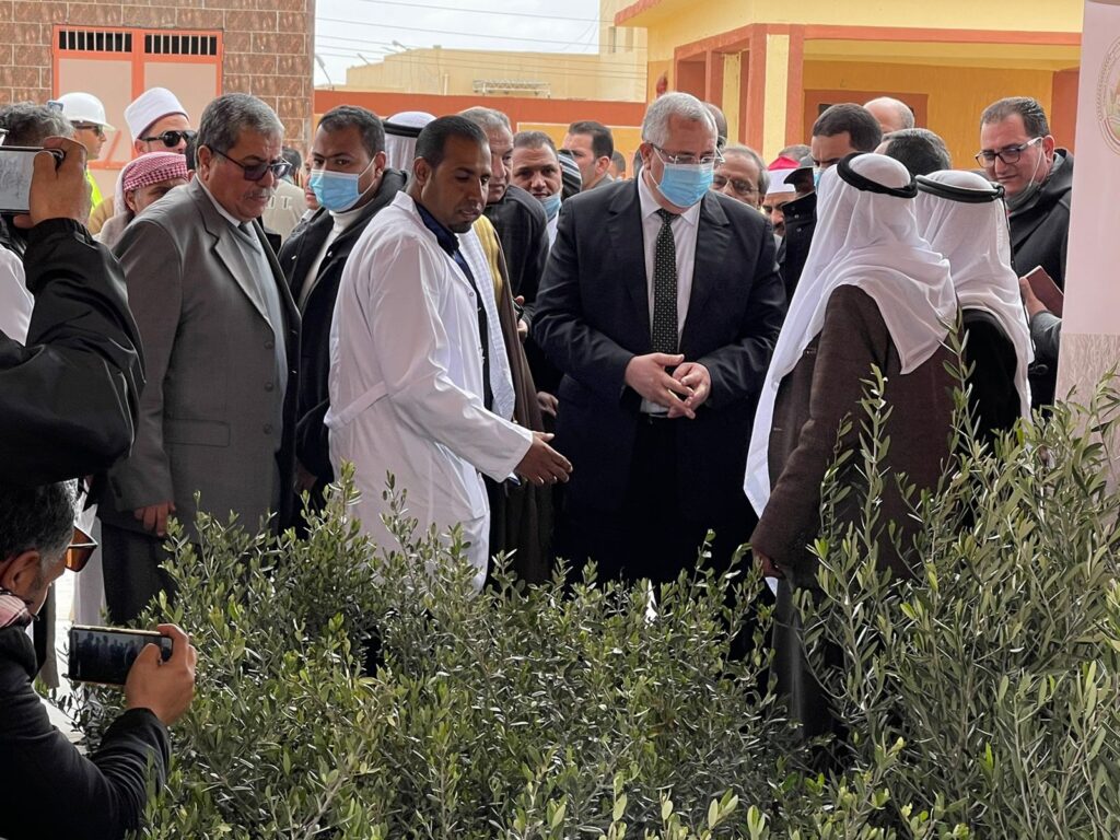 وزير الزراعة في شمال سيناء وزراعة الزيتون scaled