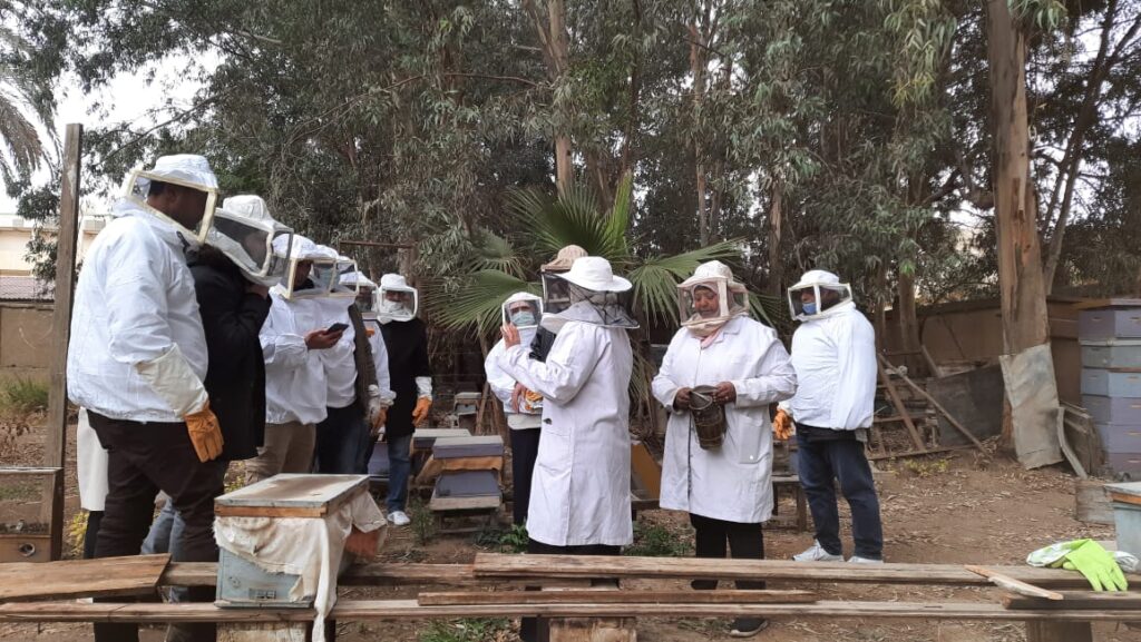 دورة تدريبية لتعليم تربية النحل للمبتدئين scaled