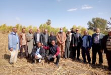 فريق وزارة الزراعة الإرشادي لتحديث الري