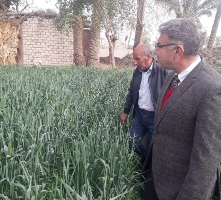رئيس مكافحة الآفات الزراعية يتفقد أعمال منطقة شمال الصعيد