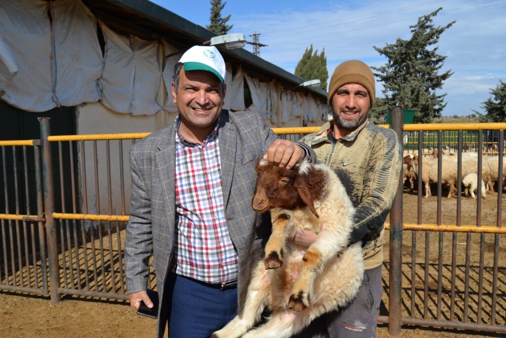 أجري توداي في محطة بحوث إزرع للإنتاج الحيواني وإغنام العواس في محافظة درعا