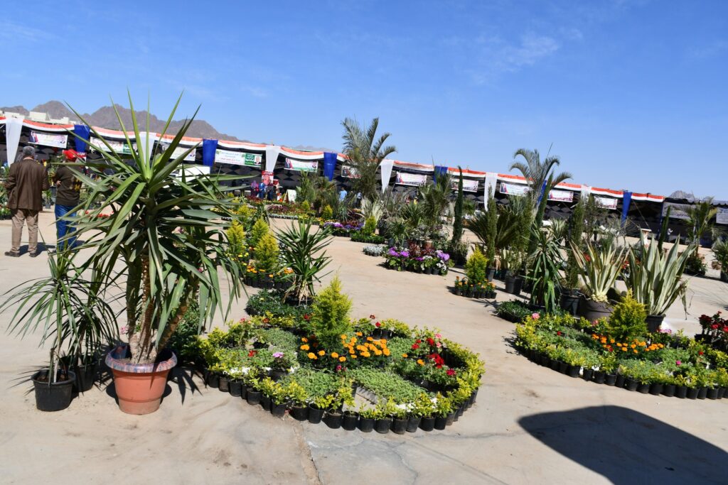 معرض الزهور في شرم الشيخ