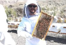 علام 2 scaled e1651199474569