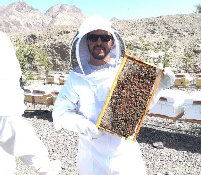 علام 2 scaled e1651199474569