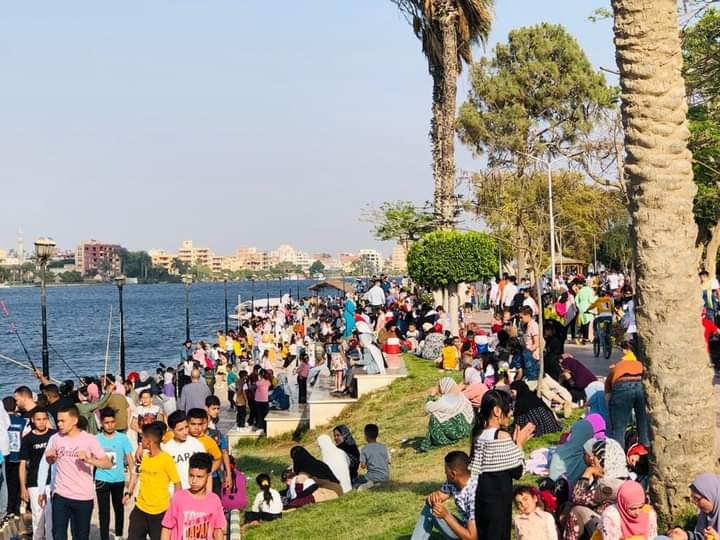 في القناطر الخيرية 1