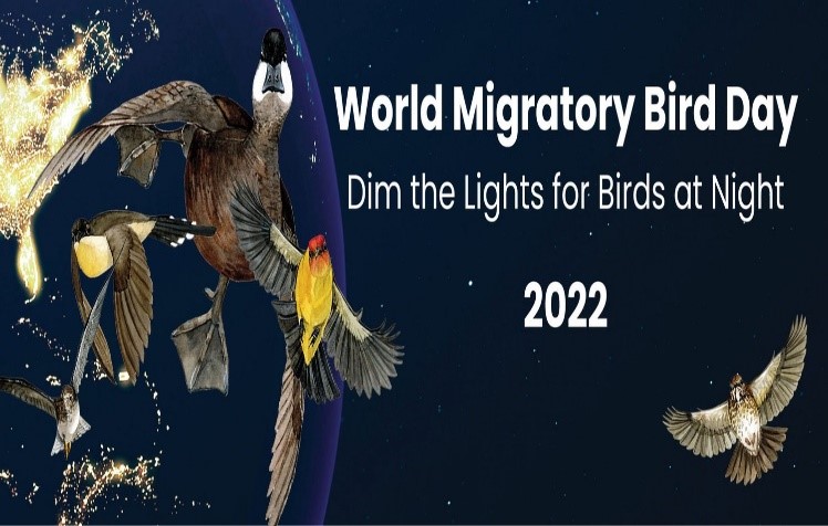 اليوم العالمي للطيور المهاجرة