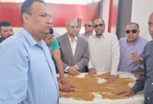 حصاد القمح 3