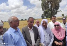 رئيس قطاع الخدمات الزراعية يتابع موسم حصاد القمح بالمحافظات