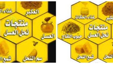 منتجات نحل العسل 1
