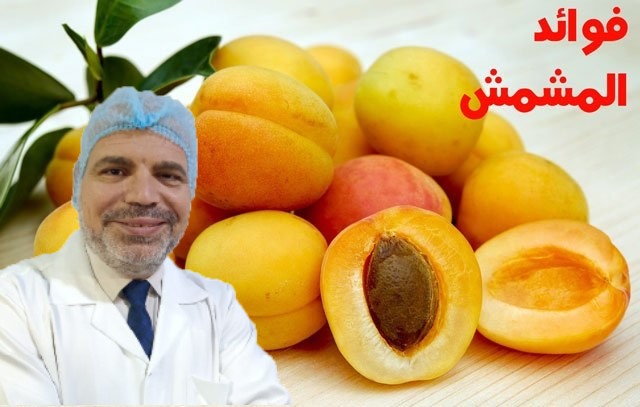 عبدالعزيز الجداوي المشمش