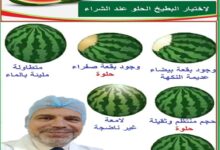 د عبدالعزيز الجداوي وفوائد البطيخ