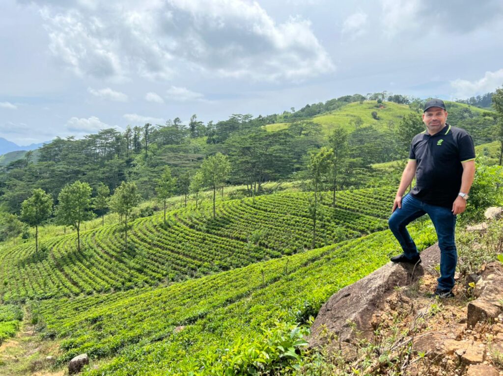 مزارع الشاي في سريلانكا scaled