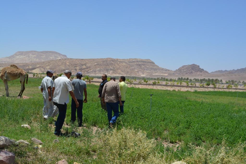 المنظمة العربية للتنمية الزراعية ومركز بحوث الصحراء
