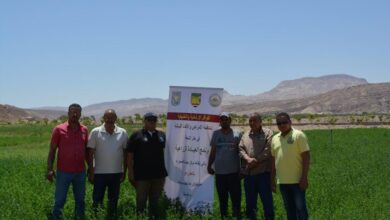 مشروعات مشتركة بين مركز بحوث الصحراء والمنظمة العربية للتنمية الزراعية