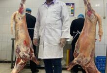 عبدالعزيز الجداوي خبير صناعات غذائية scaled e1656740853447