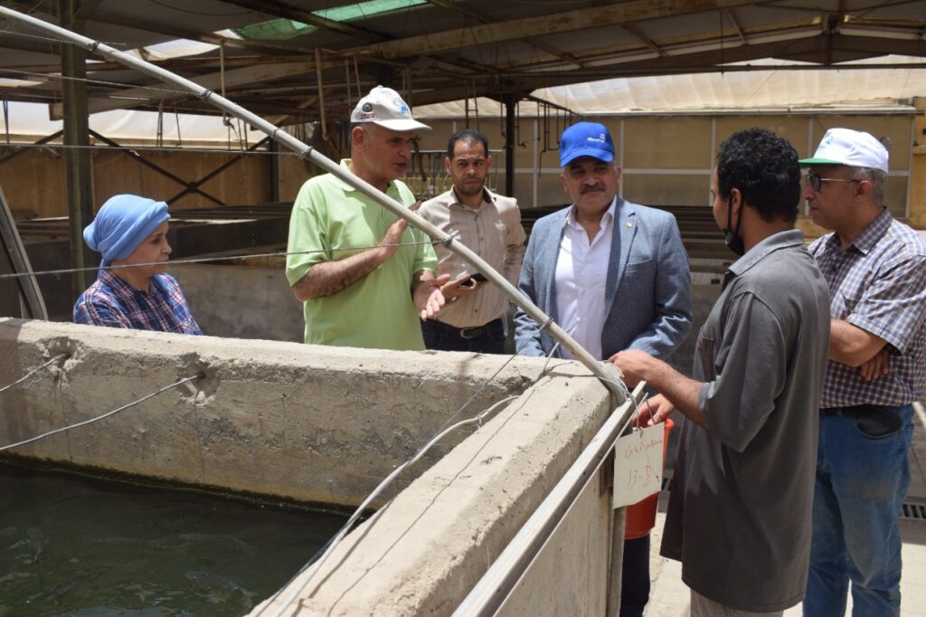 جولة المدير التنفيذي لجهاز تنمية البحيرات في المركز الدولي للأسماك 2 scaled