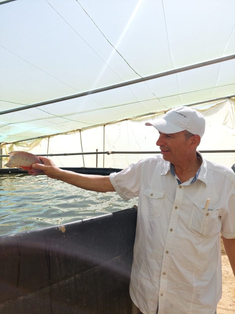 د مسعد قطب مدير الزراعة خلال تفقده مشروعات الإنتاج السمكي في جنوب سيناء scaled