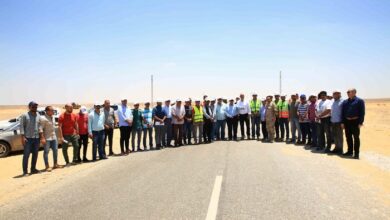 شركة الريف المصري وتوصيل الكهرباء لأراضي المشروع