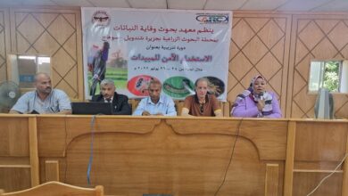 معهد وقاية النباتات ينظم برنامج تدريبي عن الإستخدام الآمن للمبيدات 4