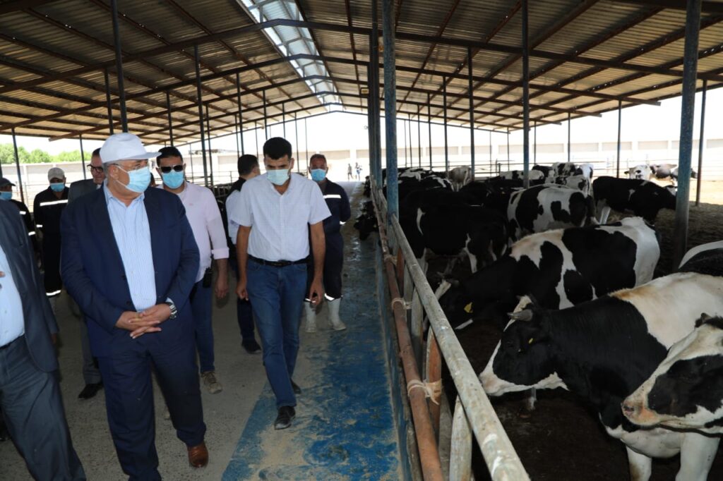وزير الزراعة يتفقد مزارع الإنتاج الحيواني scaled