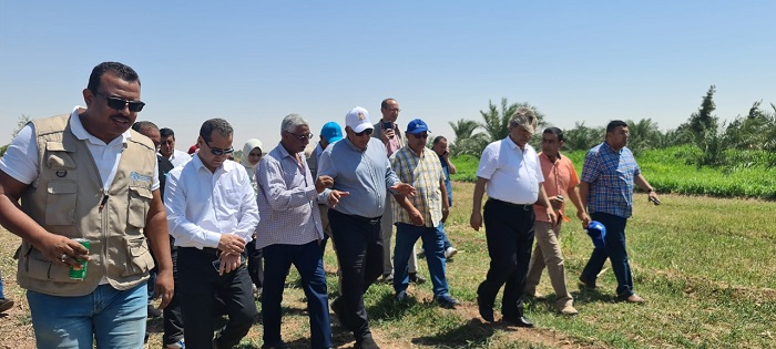 مشروع مشترك بين الفاو ووزارة الزراعة لزراعة محاصيل أكثر تحملا للجفاف بالوادي الجديد 2