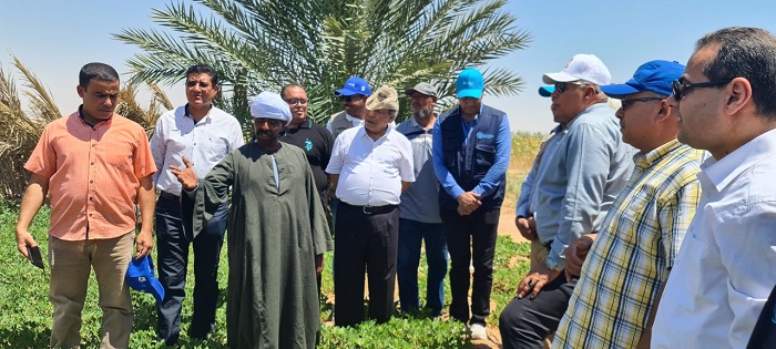 مشروع مشترك بين الفاو ووزارة الزراعة لزراعة محاصيل أكثر تحملا للجفاف بالوادي الجديد 3