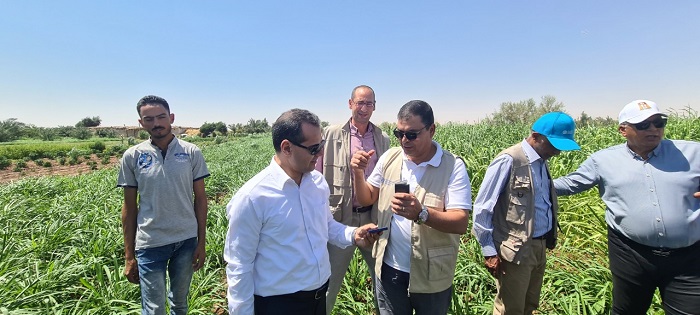 مشروع مشترك بين الفاو ووزارة الزراعة لزراعة محاصيل أكثر تحملا للجفاف بالوادي الجديد