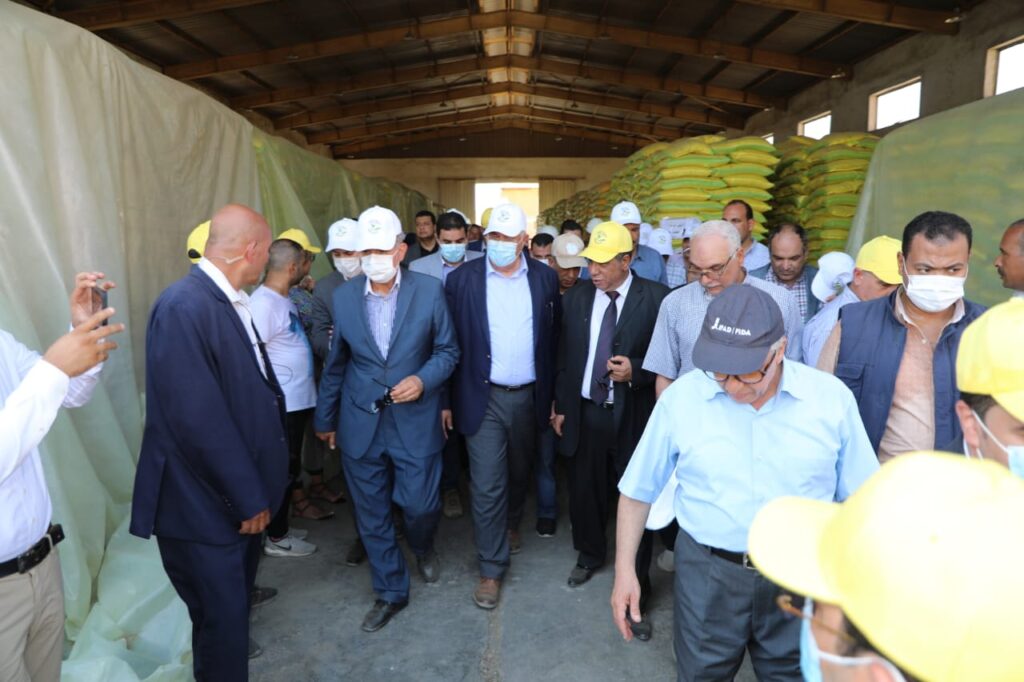 وزير الزراعة يتفقد محطة غربلة التقاوي في كفر الشيخ 3 scaled