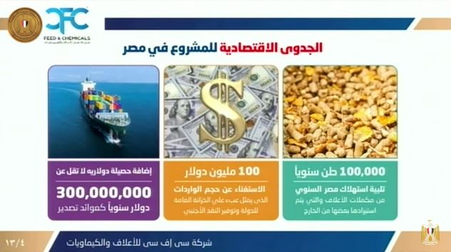 الجدوى الاقتصادية لمشروع مجموعة CFC في مصر
