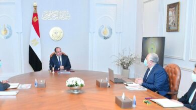 الرئيس عبدالفتاح السيسي يلتقي وزير الزراعة