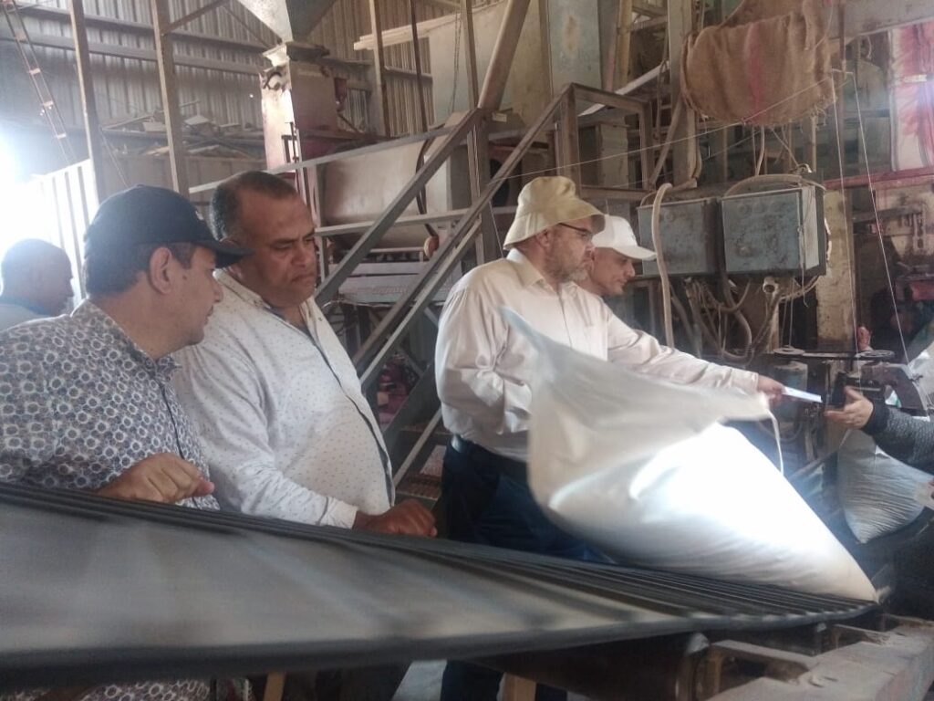 متابعة حالة التقاوي في محطة بحوث سخا في كفر الشيخ scaled